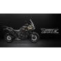 Купити Zontes 703F